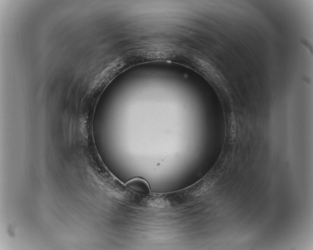 X0000100400258200806131020
