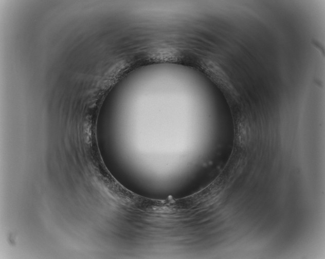 X0000100400259200806131020