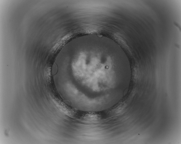 X0000100400260200806131020