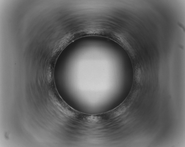 X0000100400261200806131020
