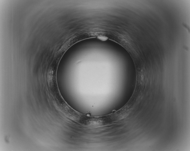 X0000100400263200806131020