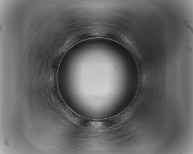 X0000100400265200806131020