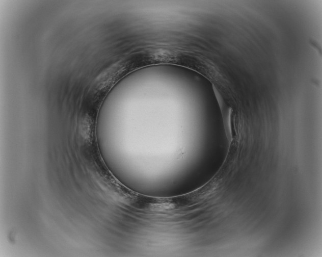 X0000100400266200806131020
