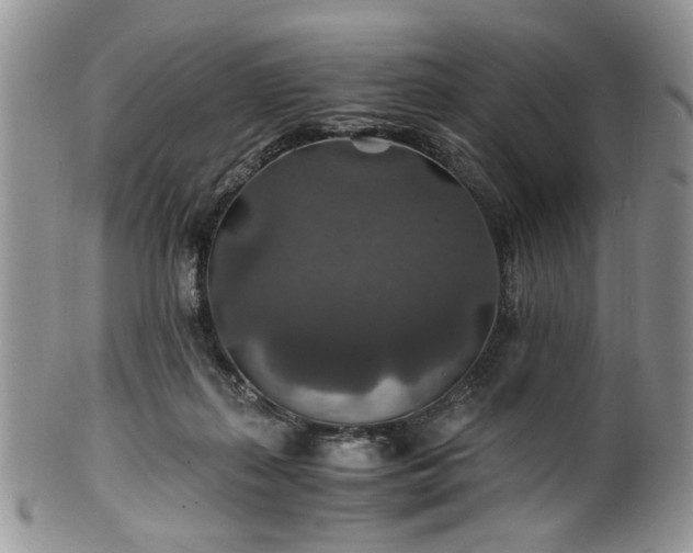 X0000100400267200806131020