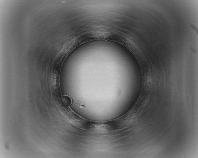 X0000100400268200806131020