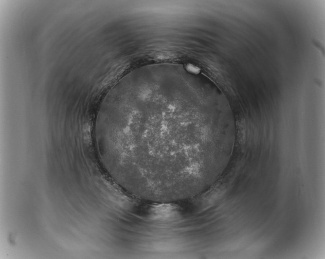 X0000100400269200806131020