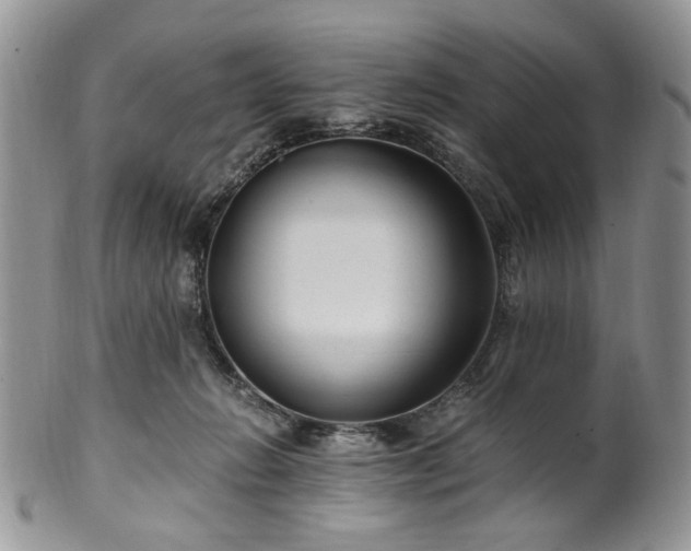 X0000100400270200806131020