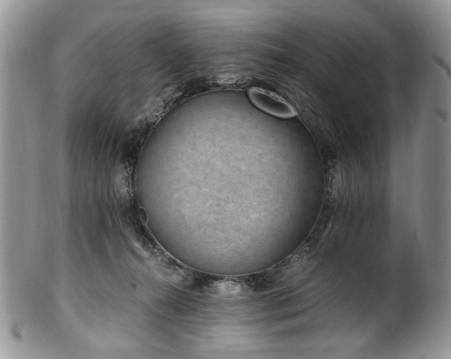 X0000100400272200806131020