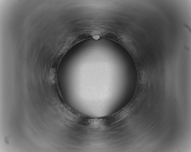 X0000100400273200806131020