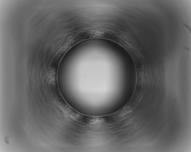 X0000100400274200806131020