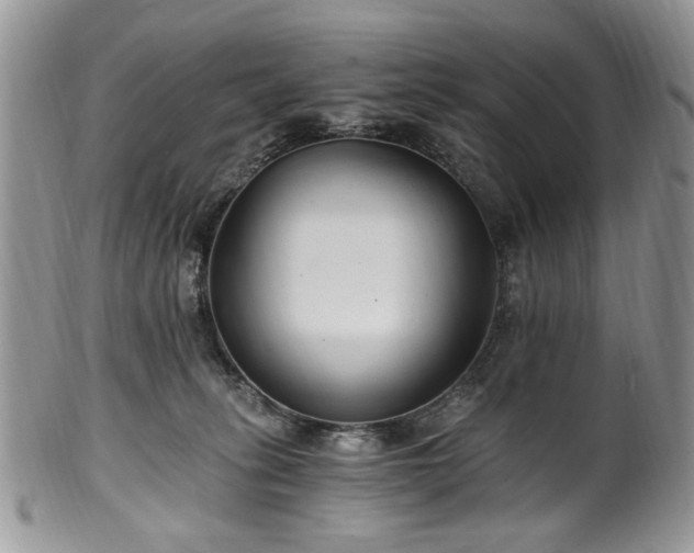 X0000100400275200806131020