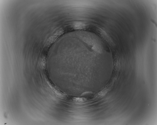 X0000100400277200806131020