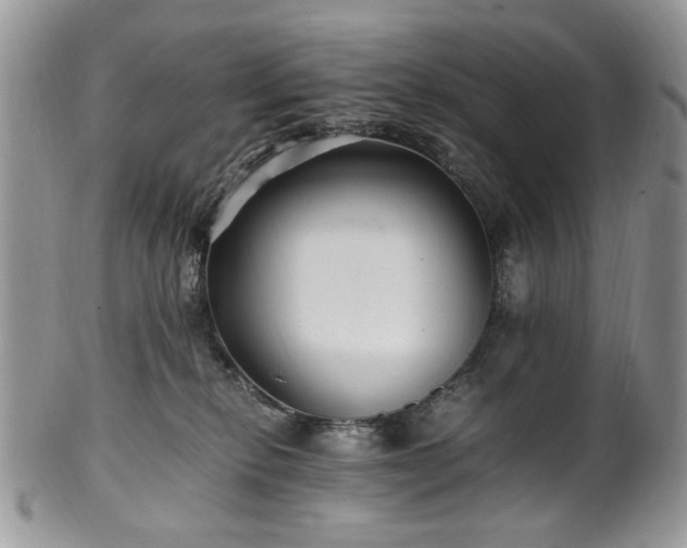 X0000100400278200806131020