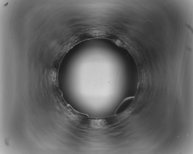 X0000100400281200806131020