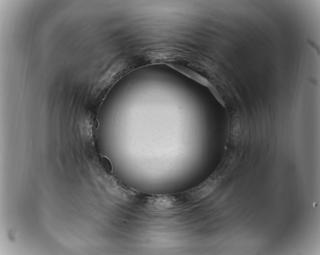 X0000100400282200806131020