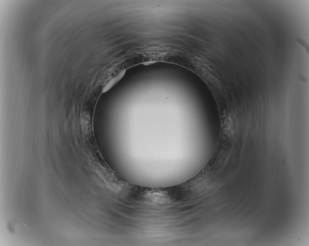 X0000100400283200806131020