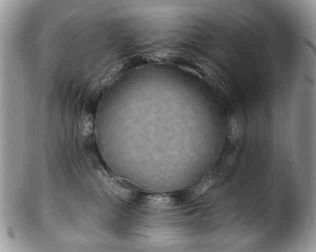 X0000100400284200806131020