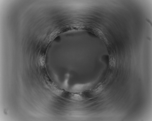 X0000100400285200806131020