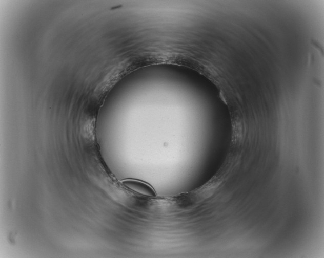 X0000100400286200806131020
