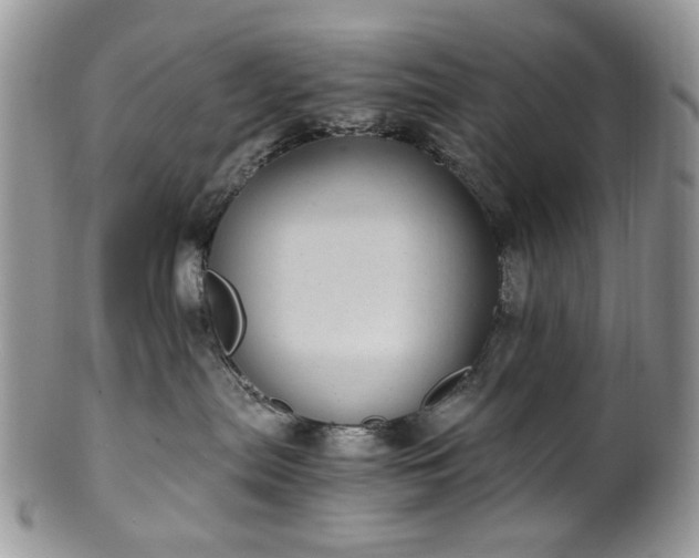 X0000100400287200806131020