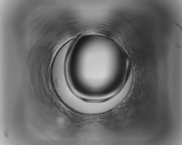 X0000100400289200806131019