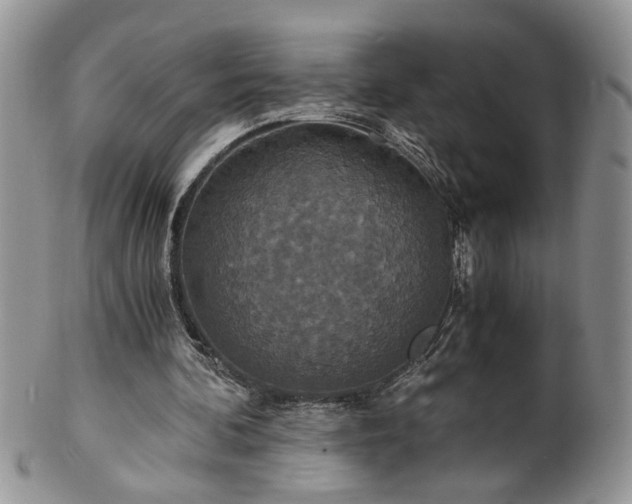 X0000100400292200806131019