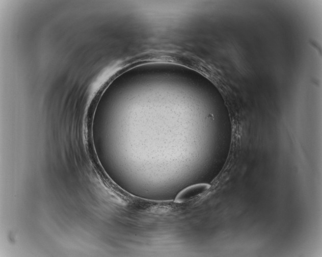 X0000100400294200806131019