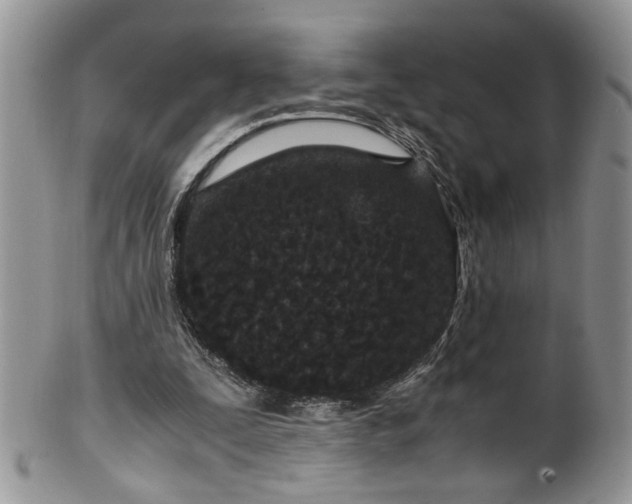 X0000100400295200806131019