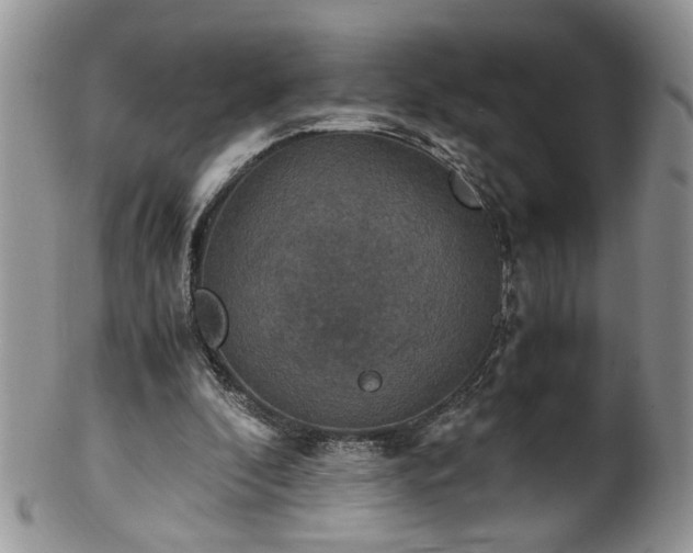 X0000100400296200806131019