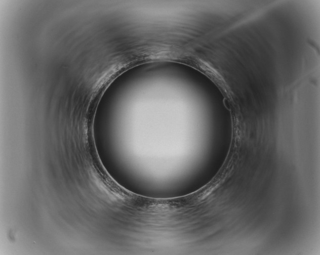 X0000100400298200806131019