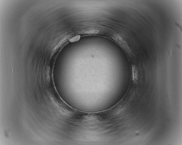X0000100400300200806131019