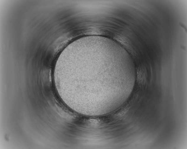 X0000100400302200806131019