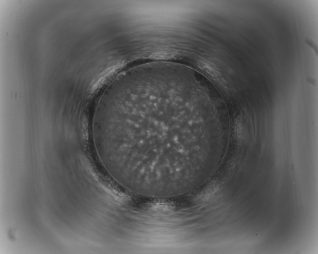 X0000100400303200806131019