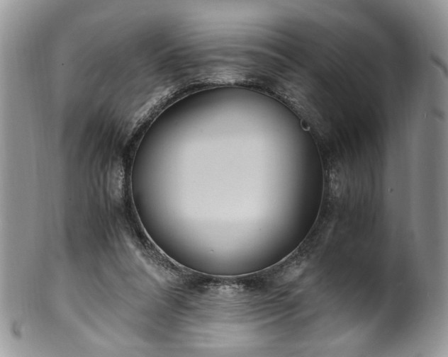 X0000100400304200806131019