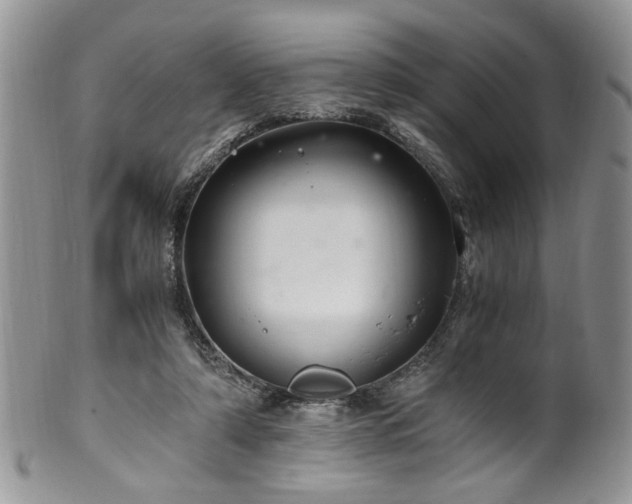 X0000100400306200806131019