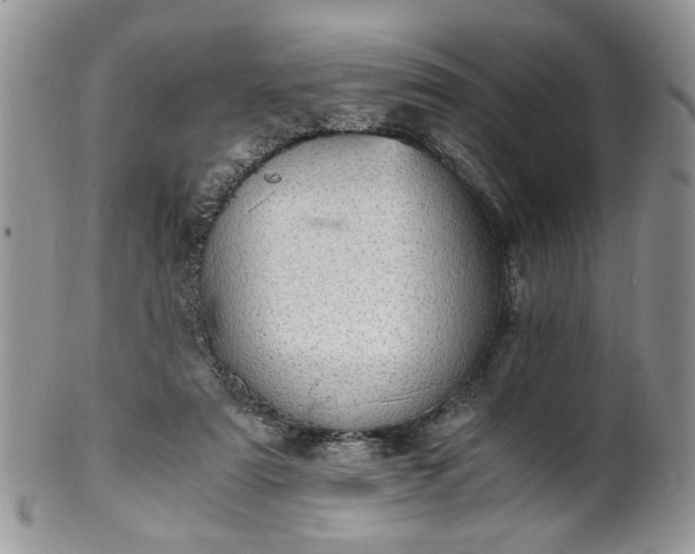 X0000100400307200806131019