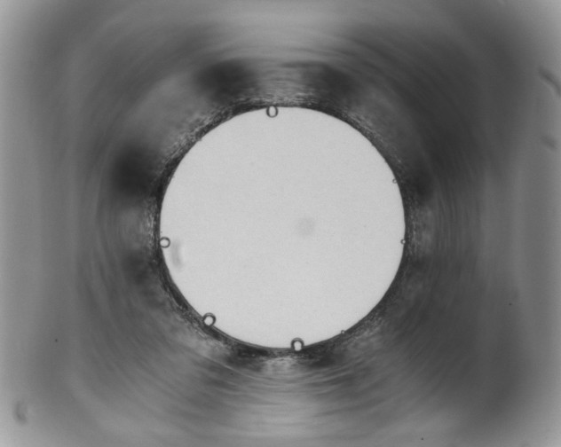 X0000100400309200806131019