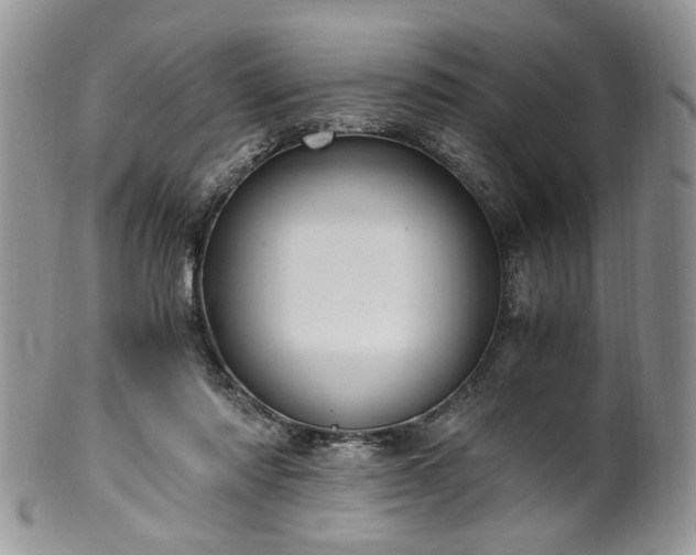 X0000100400310200806131019