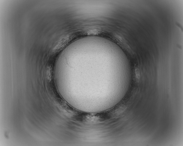 X0000100400311200806131019