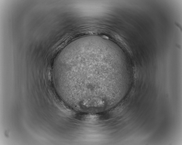 X0000100400313200806131019