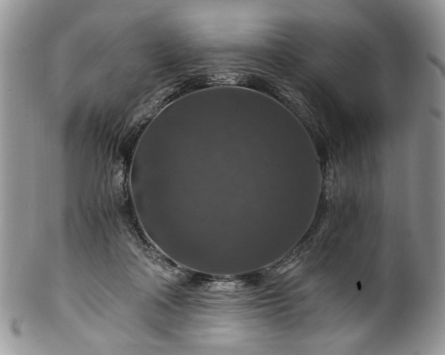 X0000100400314200806131019