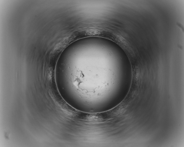 X0000100400315200806131019