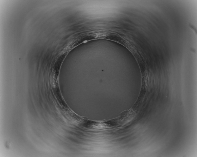 X0000100400316200806131019