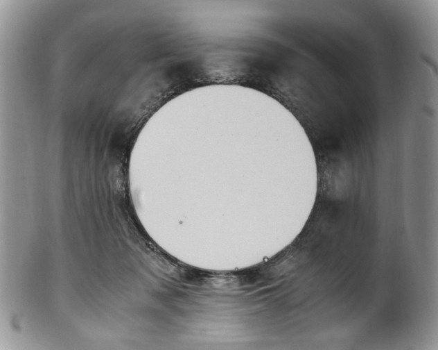 X0000100400317200806131019