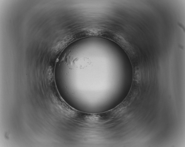 X0000100400318200806131019