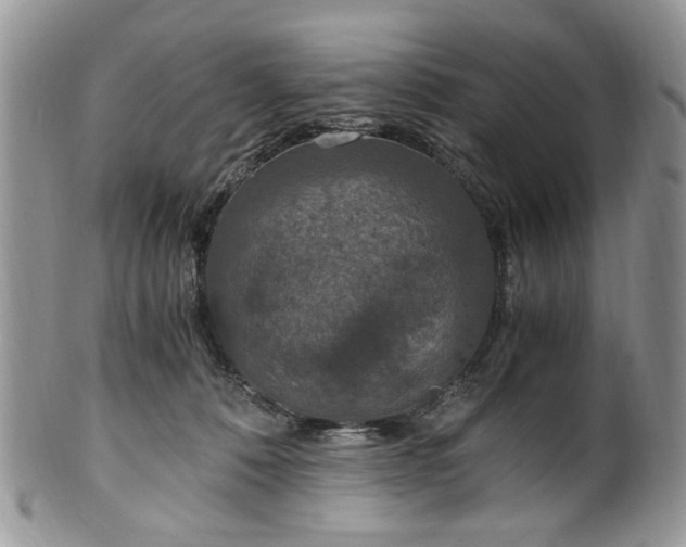 X0000100400320200806131019