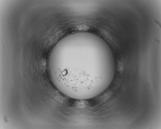X0000100400321200806131019