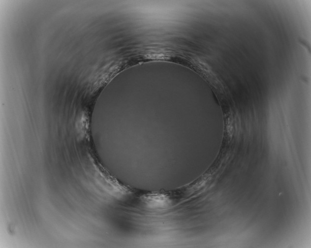 X0000100400322200806131019