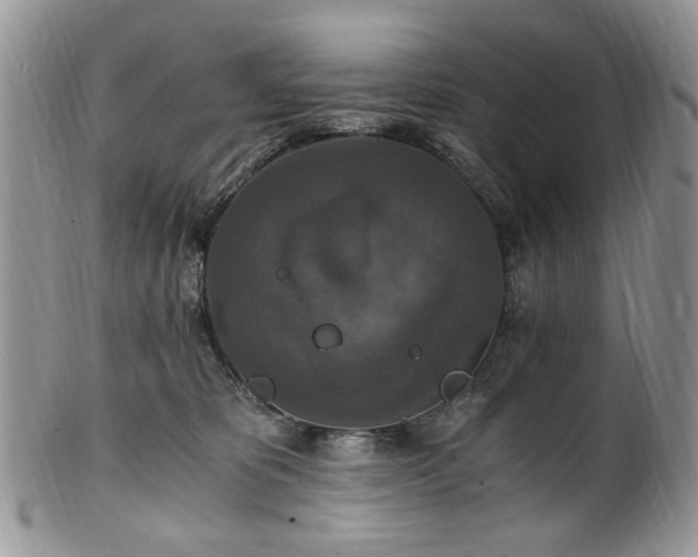 X0000100400325200806131019