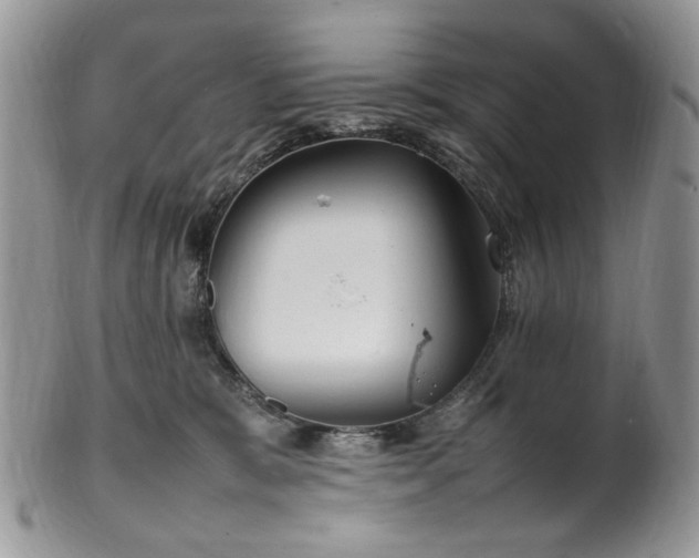X0000100400327200806131019